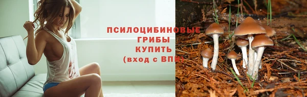 мескалин Михайловка