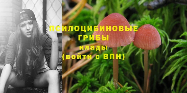 мескалин Михайловка