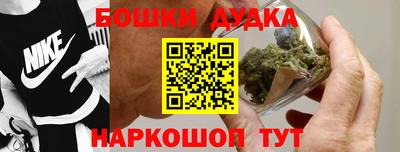 гидропоника Камышлов