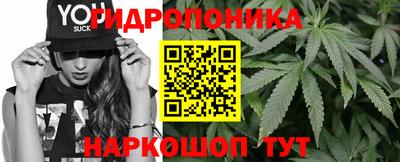 гидропоника Камышлов