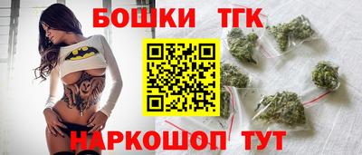 гидропоника Камышлов