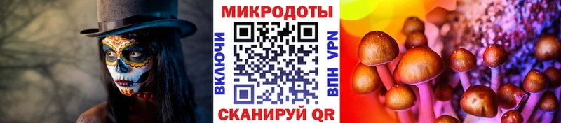 Псилоцибиновые грибы мицелий  Саров 