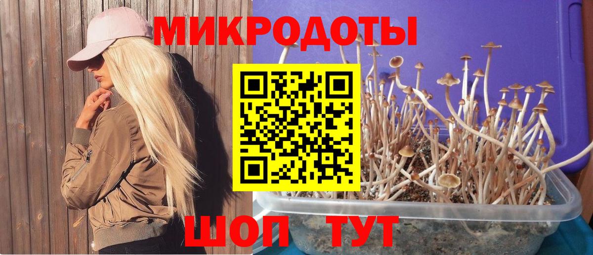 Псилоцибиновые грибы Cubensis  Вход с VPN  Саров 